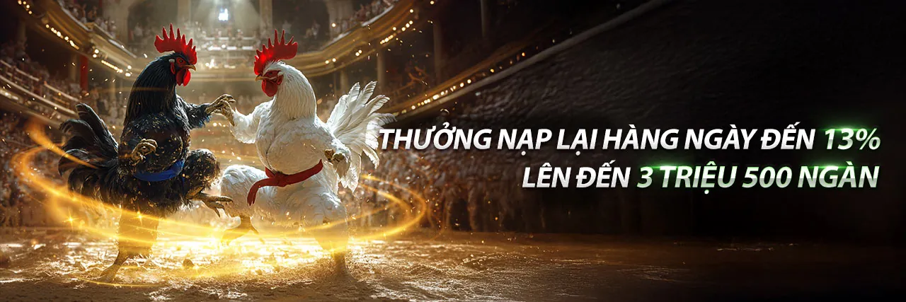 Sân vận động lớn với ánh đèn rực rỡ và logo 33win02 chính thức